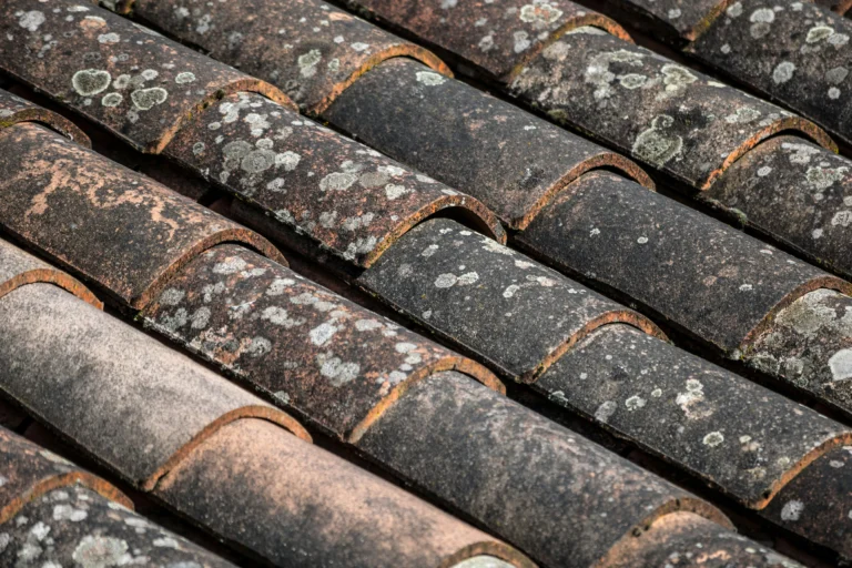 The Benefits of Professional Roof Cleaning Services