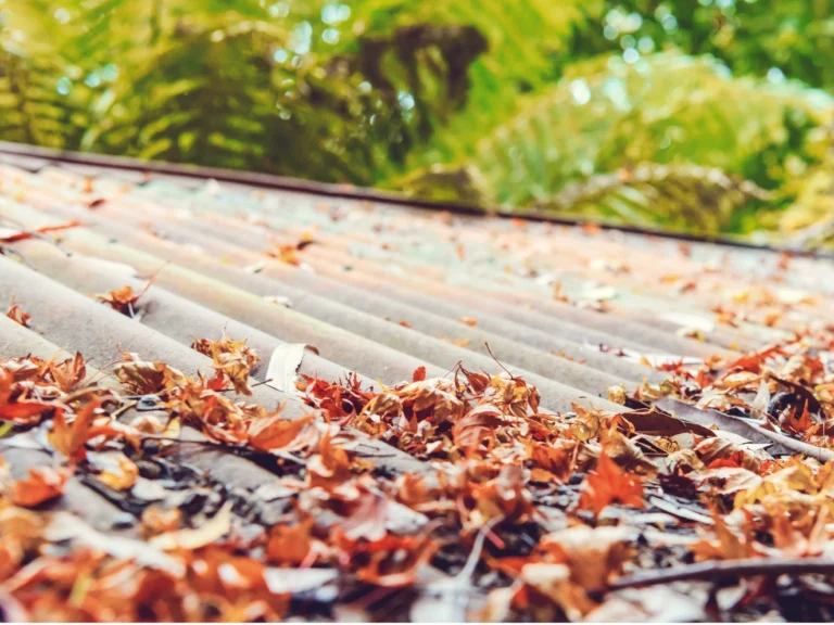 Essential Roofing Maintenance Tips to Prevent Costly Repairs